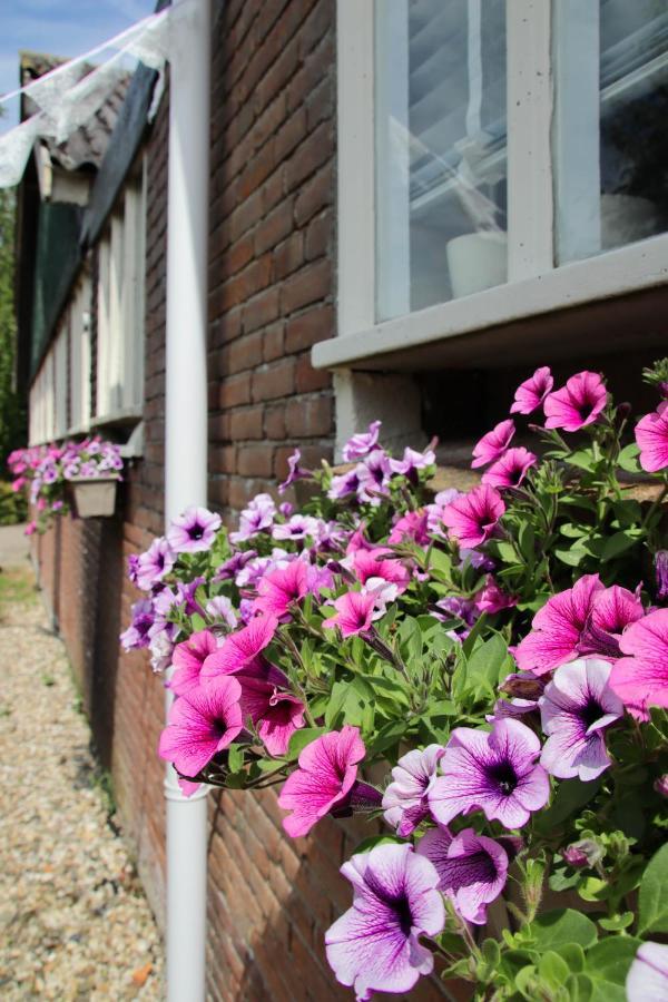 B&B Schotererf Kuinre Exterior foto